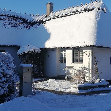 The Whispering Apple Garden Retreat Apartment Morud Екстериор снимка